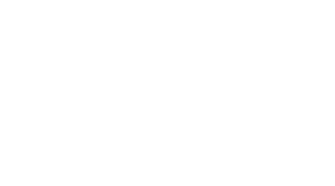 Susan Bysiewicz for Lieutenant Governor Logo